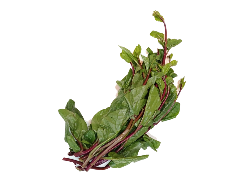 Organic Malabar Spinach